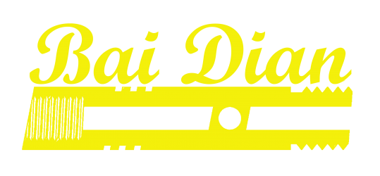 BAI DIAN COMPANY